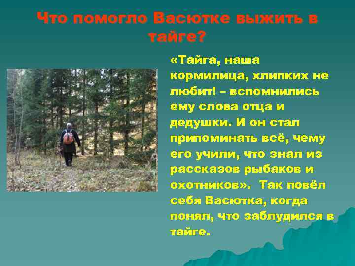Что помогло Васютке выжить в тайге? «Тайга, наша кормилица, хлипких не любит! – вспомнились