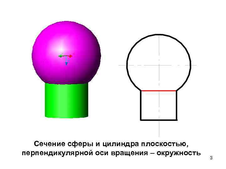 Сечение сферы и цилиндра плоскостью, перпендикулярной оси вращения – окружность 3 