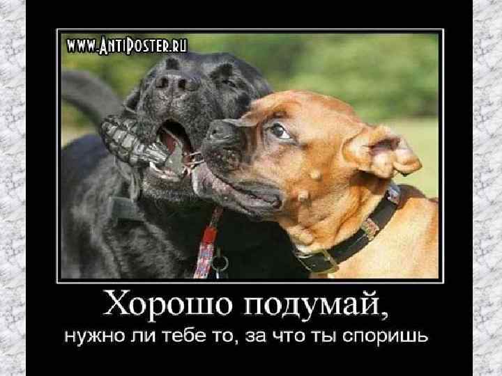 Спасибо за внимание! 8) Презентацию подготовили учащиеся 3 курса 37 СП группы: Максимова Диана