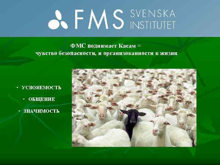 ФМС поднимает Касам = чувство безопасности, и организованности в жизни • УСВОЯЕМОСТЬ • ОБЩЕНИЕ