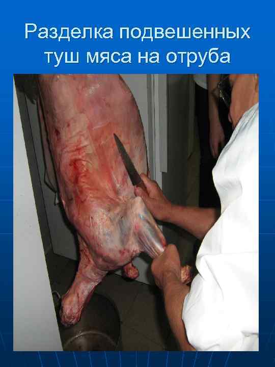   Подрезают мякоть и сухожилия между лопаткой  и грудинкой 