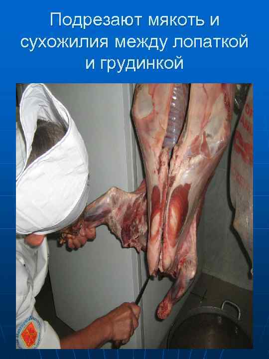 Отделяют лопатку 