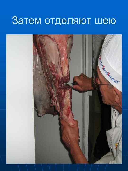 Внутри вдоль поясничных  позвонков располагается филейная  вырезка (справа ) 