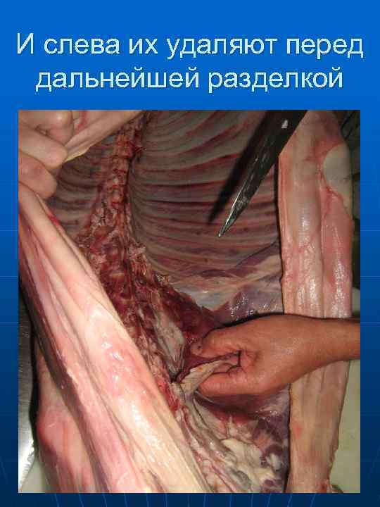 Вырезка - самая нежная  часть в туше мяса 