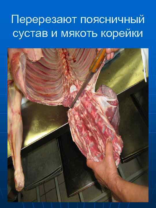 При формировании полуфабриката «баранье седло» пашины  заворачивают внутрь 