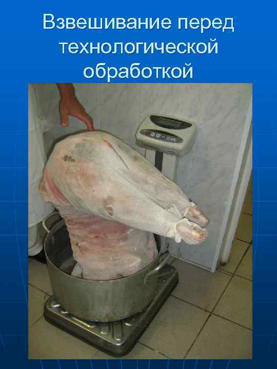 Взвешивание перед технологической обработкой 