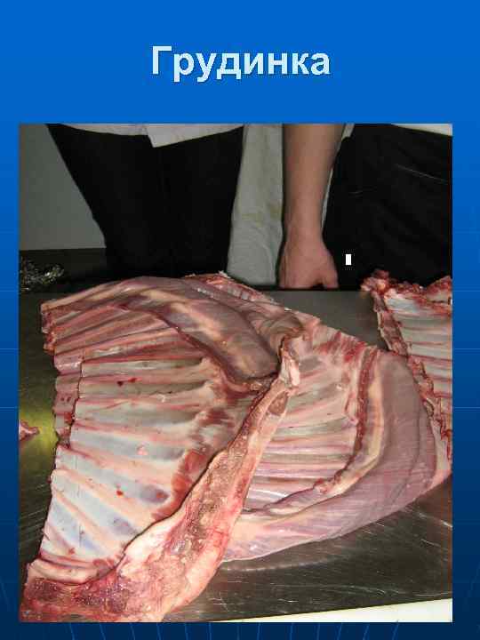 Тазобедренная часть 