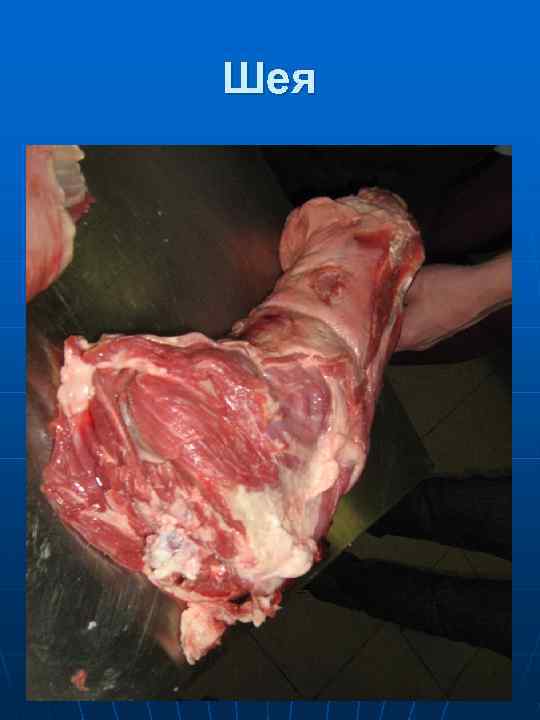 Обработка отрубов  Дальнейшая обработка  полученных отрубов  включает отделение  мякоти от