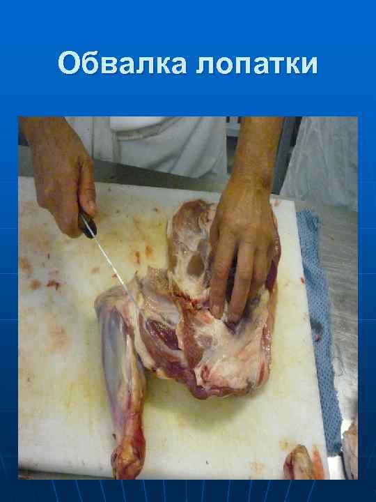 Работа студентов 