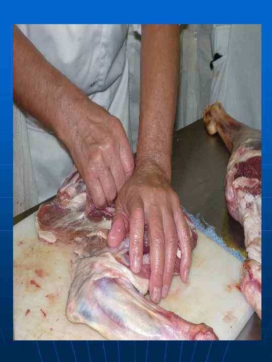 n  Лопаточная кость после  обвалки лопатки 