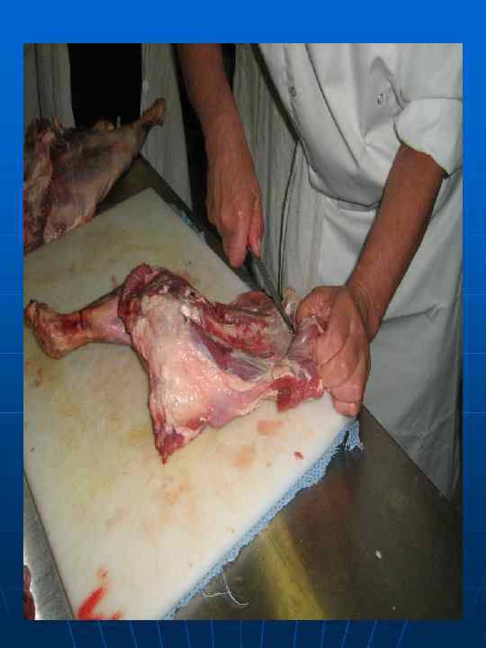 Мякоть лопатки после обвалки и жиловки 