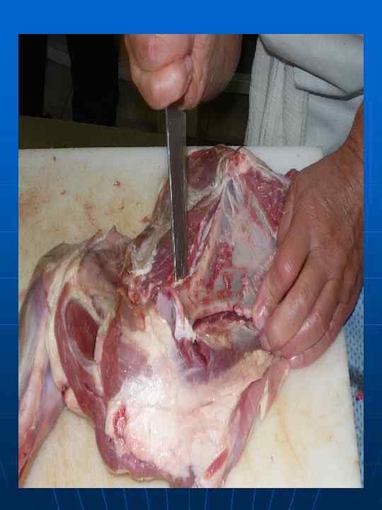 Обвалка тазобедренного  отруба (окорока) 