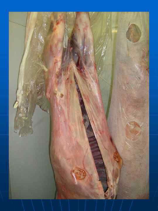 Сопроводительный документ 