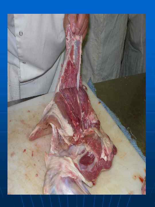 Выделение внутреннего куска тазобедренной   части 