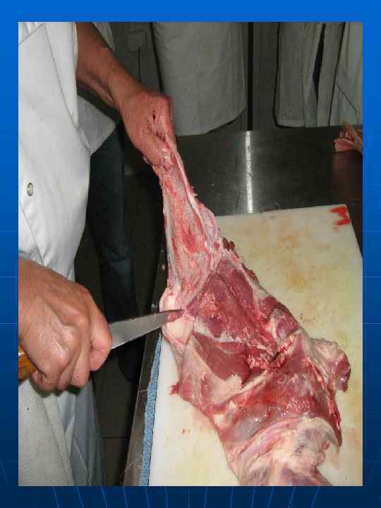 Выделение мякоти с голяшек с  высоким содержанием  соединительной ткани 