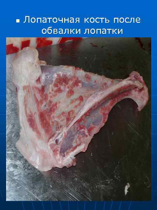 В боковом куске четко виден след от  бедренной кости 