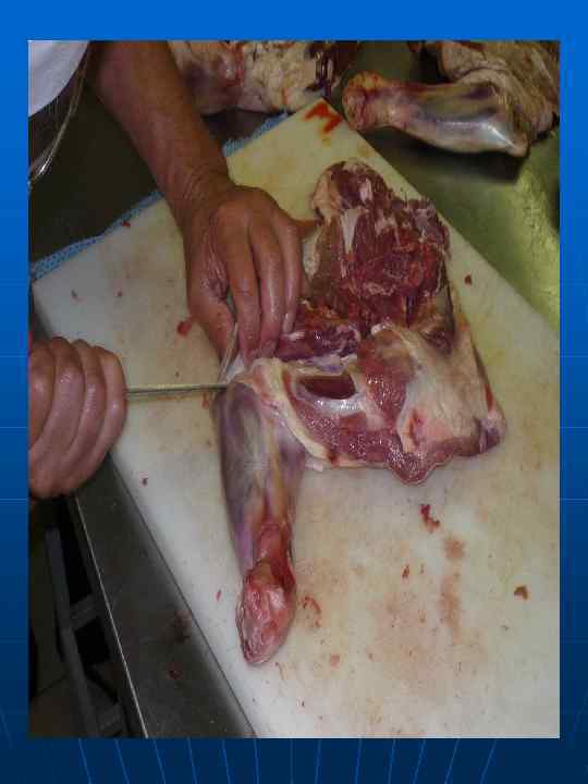 Почечная часть корейки  (для шашлыка по – карски) 