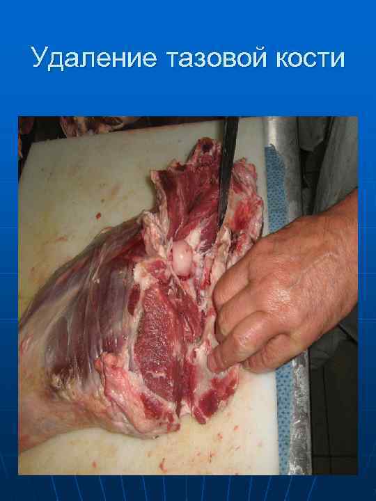  Крупнокусковые полуфабрикаты из   баранины  Фаршированная  Баранье седло  