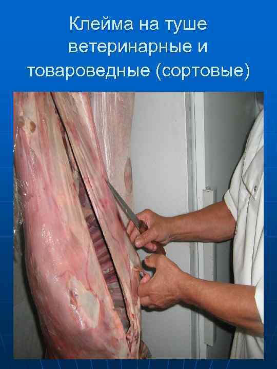 Разделка подвешенных  туш мяса на отруба 