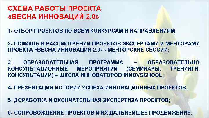 СХЕМА РАБОТЫ ПРОЕКТА «ВЕСНА ИННОВАЦИЙ 2. 0» 1 - ОТБОР ПРОЕКТОВ ПО ВСЕМ КОНКУРСАМ