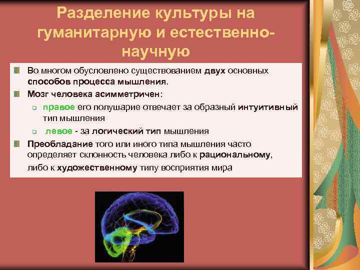 Разделение культуры на гуманитарную и естественнонаучную Во многом обусловлено существованием двух основных способов процесса