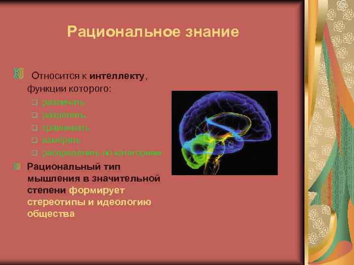 Рациональное знание Относится к интеллекту, функции которого: q q q различать разделять, сравнивать измерять