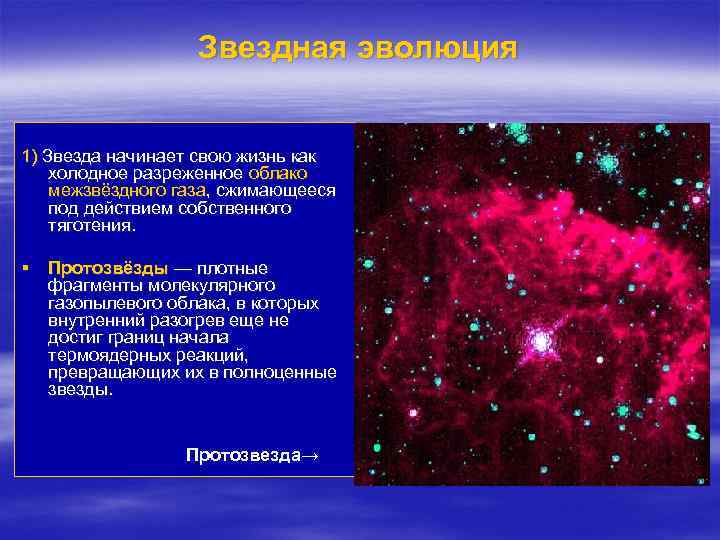 Звездная эволюция 1) Звезда начинает свою жизнь как холодное разреженное облако межзвёздного газа, сжимающееся