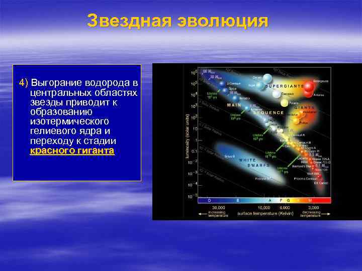Звездная эволюция 4) Выгорание водорода в центральных областях звезды приводит к образованию изотермического гелиевого