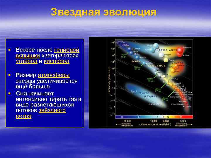 Звездная эволюция § Вскоре после гелиевой вспышки «загораются» углерод и кислород § Размер атмосферы