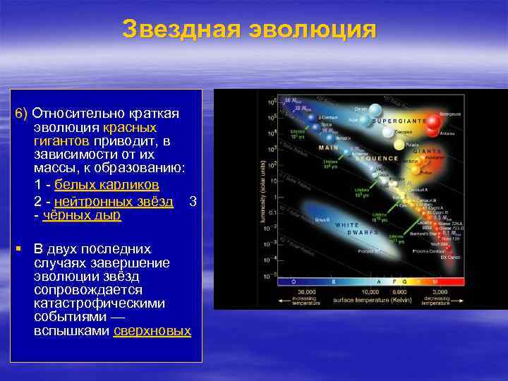 Звездная эволюция 6) Относительно краткая эволюция красных гигантов приводит, в зависимости от их массы,