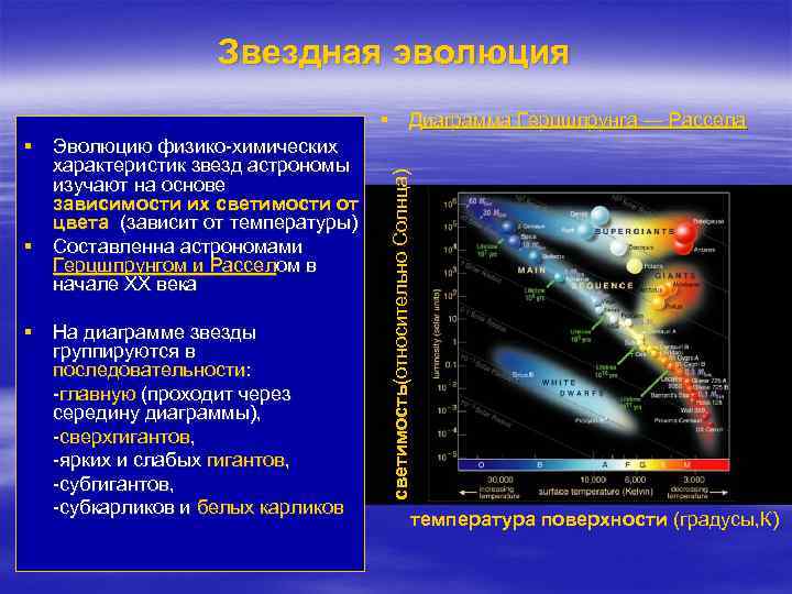 Звездная эволюция § Эволюцию физико-химических характеристик звезд астрономы изучают на основе зависимости их светимости