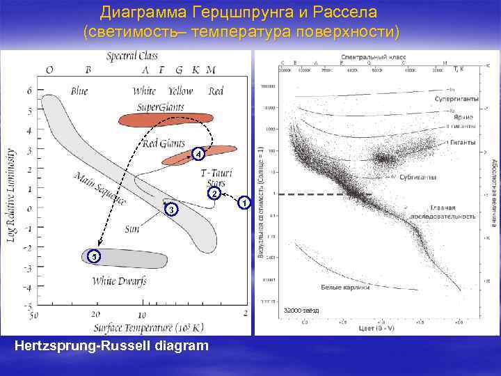 Диаграмма Герцшпрунга и Рассела (светимость– температура поверхности) 4 2 3 1 5 32000 звёзд