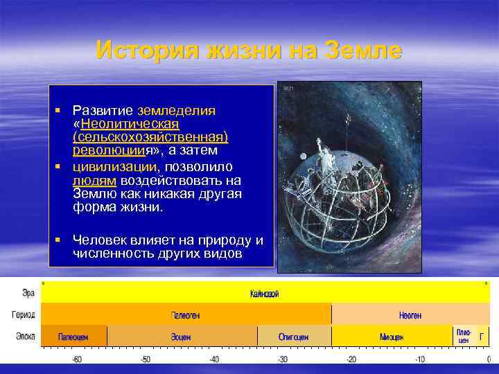 История жизни на Земле § Развитие земледелия «Неолитическая (сельскохозяйственная) революциия» , а затем §