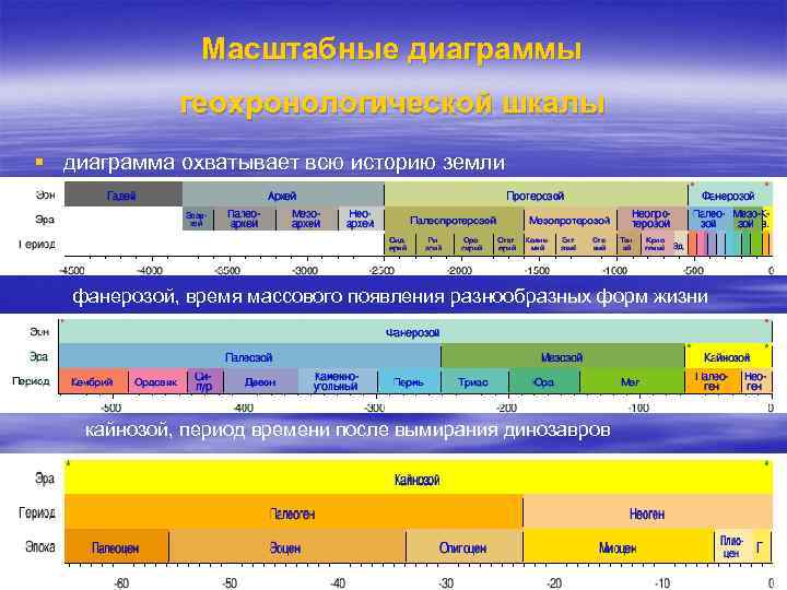 Масштабные диаграммы геохронологической шкалы § диаграмма охватывает всю историю земли фанерозой, время массового появления