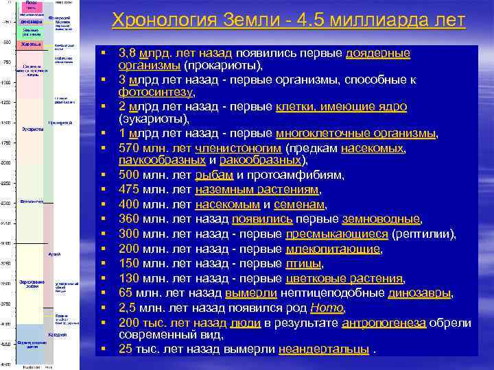 Хронология Земли - 4. 5 миллиарда лет § 3, 8 млрд. лет назад появились