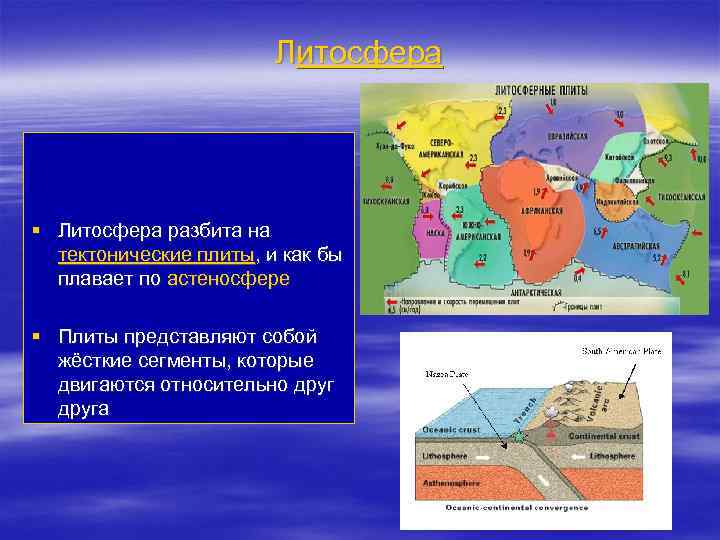 Литосфера § Литосфера разбита на тектонические плиты, и как бы плавает по астеносфере §