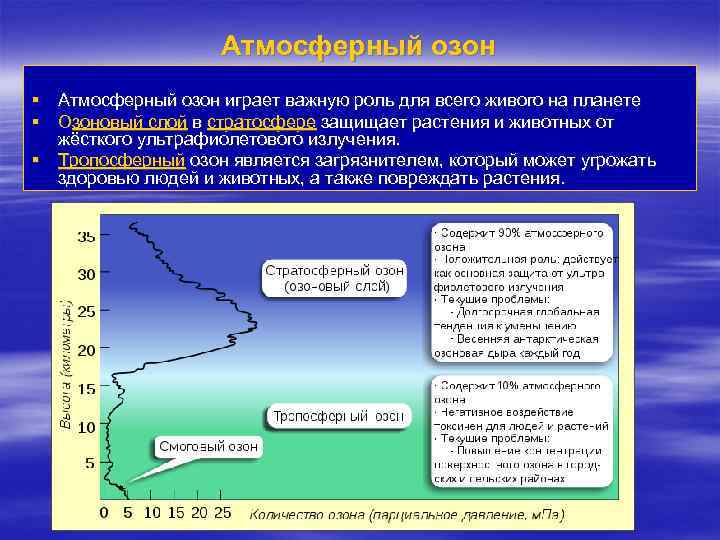 Атмосферный озон § Атмосферный озон играет важную роль для всего живого на планете §
