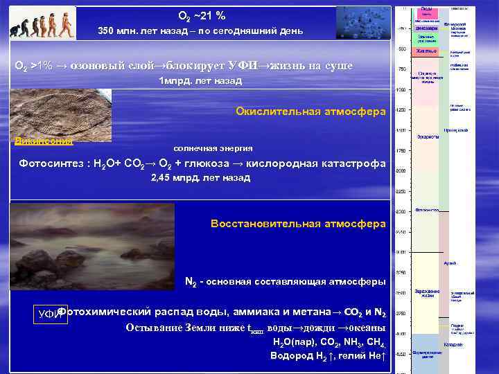  O 2 ~21 % 350 млн. лет назад – по сегодняшний день O