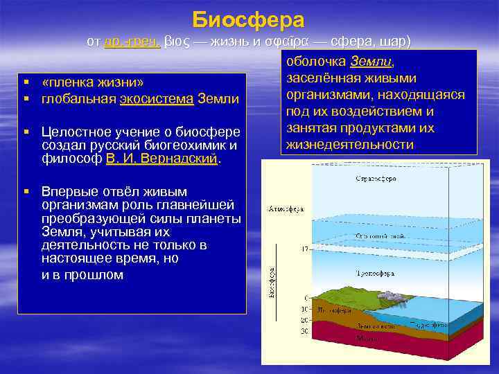 Оболочка земли заселенная живыми организмами