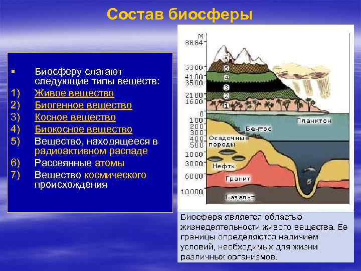 Состав биосферы § 1) 2) 3) 4) 5) 6) 7) Биосферу слагают следующие типы