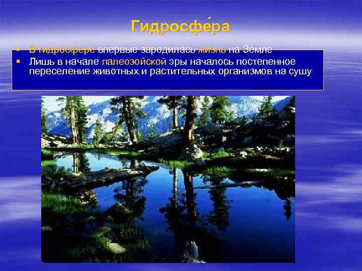 Гидросфе ра § В гидросфере впервые зародилась жизнь на Земле § Лишь в начале