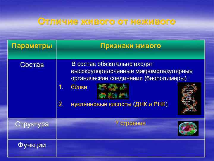 Отличие живого от неживого Параметры Состав Признаки живого В состав обязательно входят высокоупорядоченные макромолекулярные