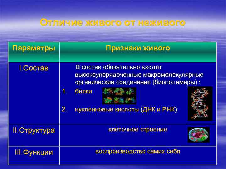 Отличие живого от неживого Параметры I. Состав Признаки живого В состав обязательно входят высокоупорядоченные