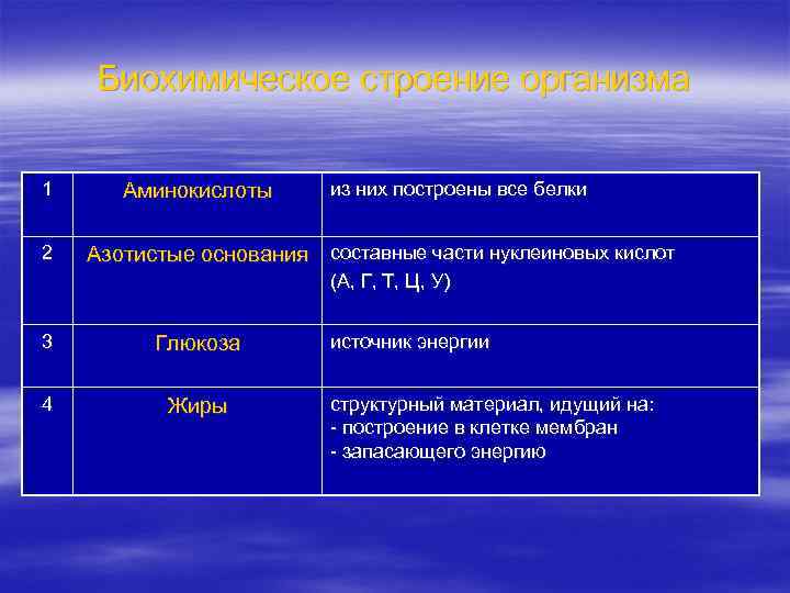 Биохимическое строение организма 1 2 Аминокислоты из них построены все белки Азотистые основания составные