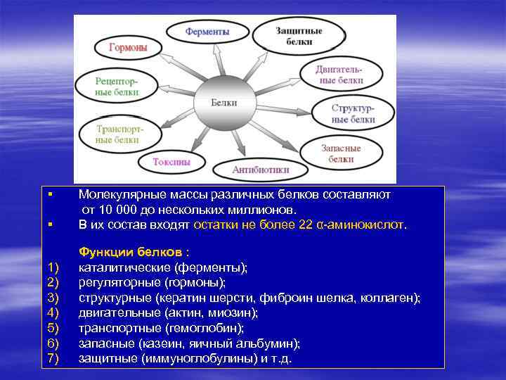 § § Молекулярные массы различных белков составляют от 10 000 до нескольких миллионов. В