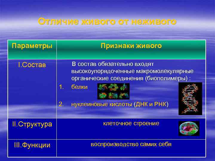 Отличие живого от неживого Параметры I. Состав Признаки живого В состав обязательно входят высокоупорядоченные