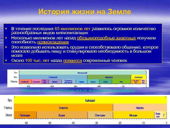 История жизни на Земле § В течение последних 65 миллионов лет развилось огромное количество