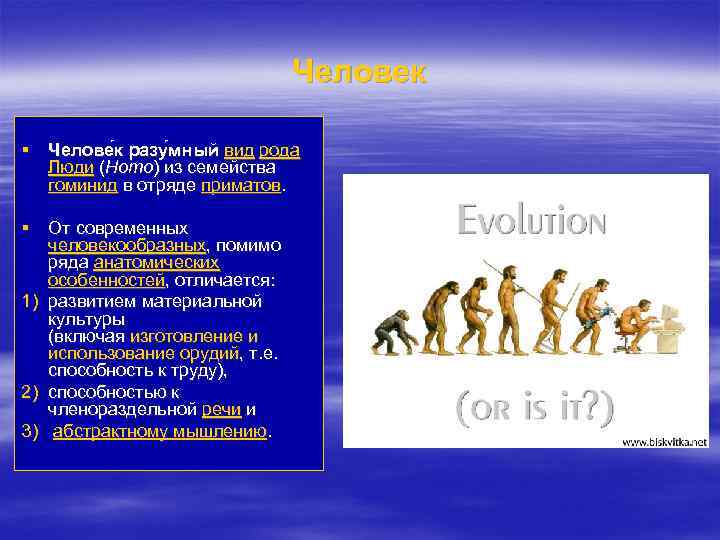 Человек § Челове к разу мный вид рода Люди (Homo) из семейства гоминид в