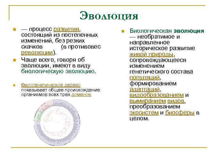 Эволюция n n n — процесс развития, состоящий из постепенных изменений, без резких скачков