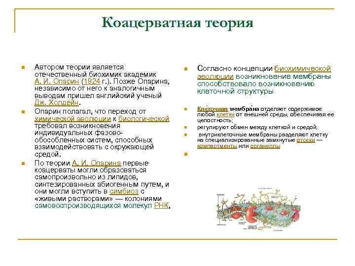 Автором моторной теории является